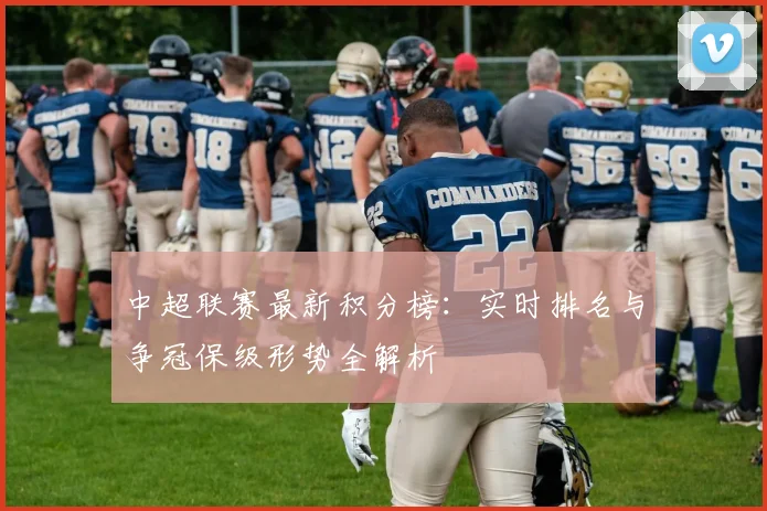 中超联赛最新积分榜：实时排名与争冠保级形势全解析